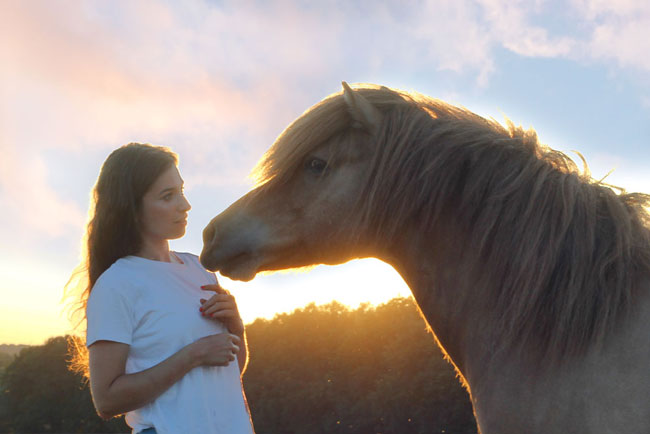 Tierkommunikation Selbst Lernen Frag Dein Pferd